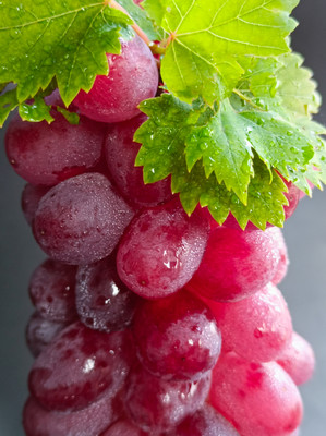 ����ʹ�����