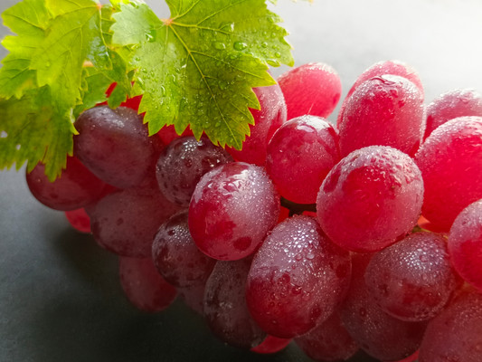 ����������Ҷ����