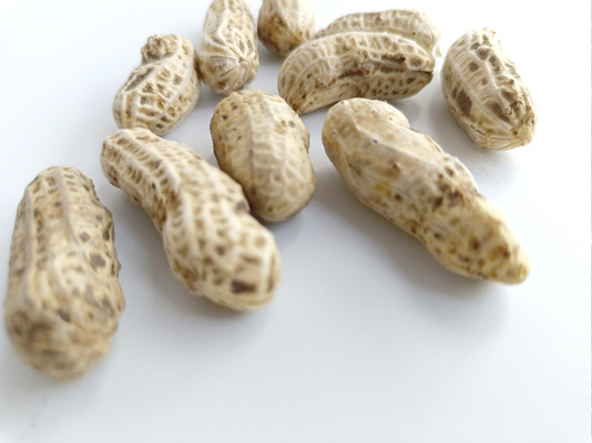 �׵�������