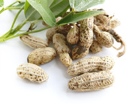 �׵��ʻ���