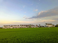 ��ϼ�����µ���