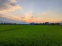 ��ϼ��Ұ��ׯ