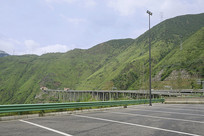 �Ĵ������ݸ�ɽ�µ���Ҷ���� 