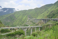 �Ĵ���Ҷ���ٺ������������ 