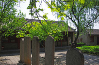 ������Ժ��������