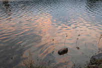 �������䵹ӳ