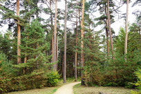 ���ֳ����������ﾰ