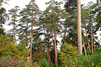 �＾�����������ﾰ