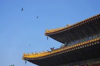 �Ž����ֲ���д