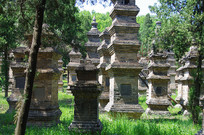 �������������ֽ���