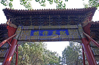 ���������Ʒ�