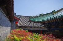 �����¹Ž���Ⱥ