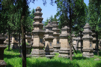 Ժ