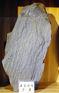 ʯī͸��Ƭ�� 