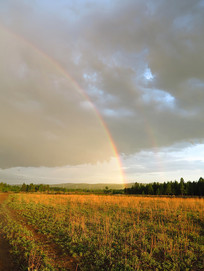 ���˰���ԭҰ���ֲʺ�