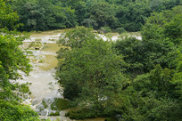 ���ݰ�˳������ɭ�ֺӹ�