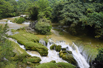 ���������źӹ�ɭ�ֺ���