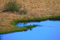 ���ױ����紺�����Һ׾���