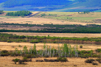 ���ױ����紺ԭҰ���