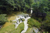 �����źӹ�ɭ�ִ�����ˮ