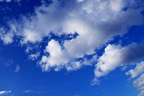 ���˰����ƾ�