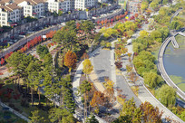 ����ˮԭ��̺���ɫ