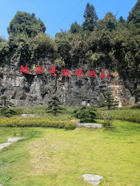 ����ɽ��