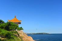 �ൺ̫ƽ�庣����ͤ�ͷ���ĺ�Ÿ