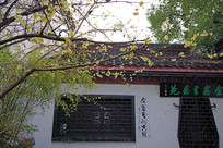 黭ԷŽ