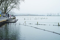 ������������