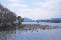 �����к�