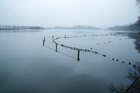 ������Ȼ���