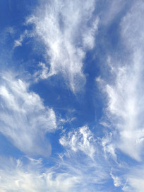 ��ɫ����ƺ�ͼ