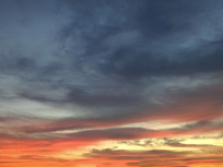 ��ϼ������