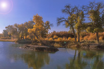 ����������������