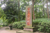 �Ĵ��ɶ�������������