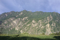 �Ĵ����ͼ׾Ӳ�կ��԰����Ȼ