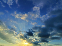 �ճ���ɫ�Ʋ�