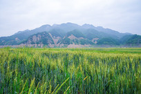 �̽��������