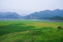 �̽����������ɫ