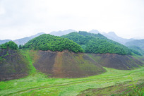 �̽����ɽ���̵�