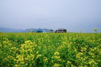 �̽�����Ͳ˻�