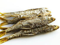 ǧ���������