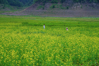 һ��Ƭ�Ͳ˻�