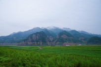 ׳����ɽ��