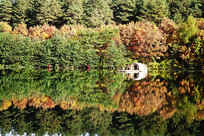 ɭ�ֺ�����ɫ 