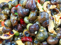 ����������