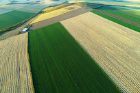 ����ũ��������ﾰ 