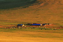 �����˼�ţȺϦ�� 