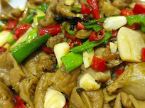 ���⳴�ʳ�